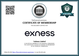 Download The Latest Exness Mt5 for Optimal Trading Experience
